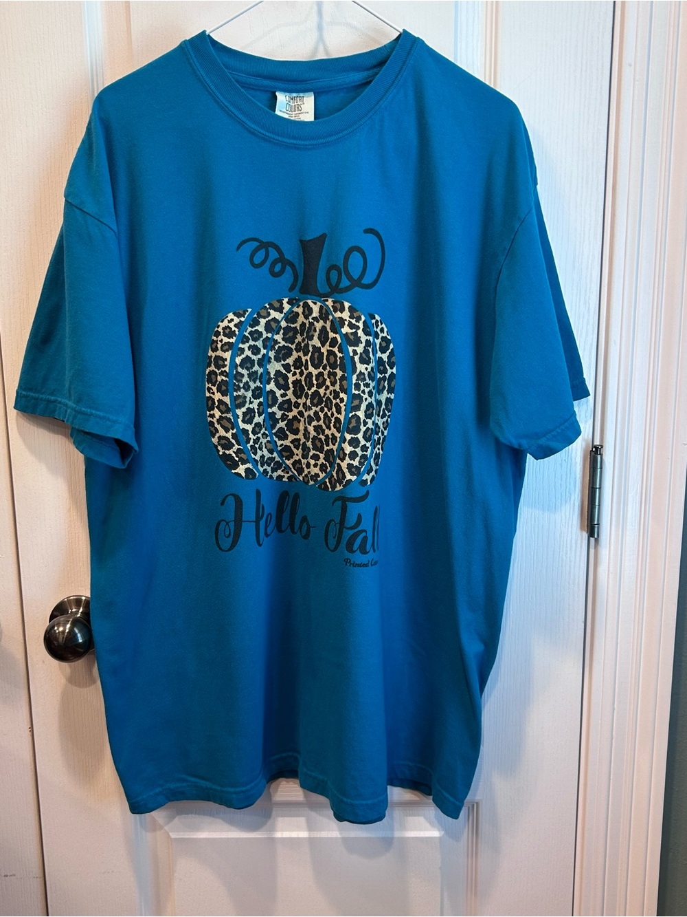 Comfort Colors Women’s Fall Tees Teal Leopard Pumpkin, Olive Prayer & Praise XL - Picture 2 of 6